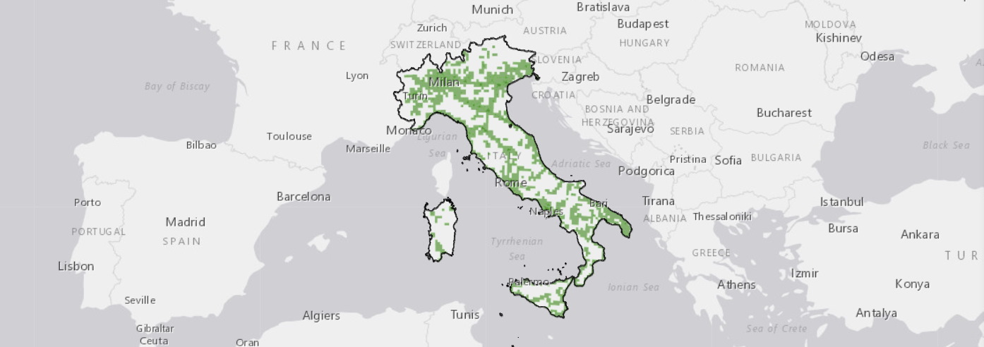 Mappa della Fibra ottica in Italia